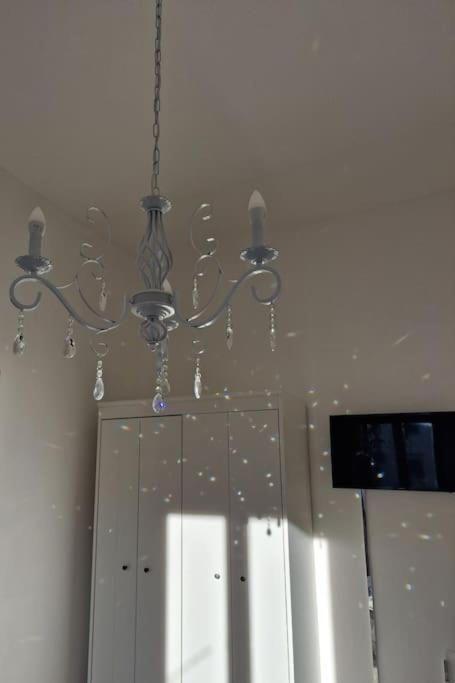 Cinzia'S House Of Mirrors Apartment Pisa Bagian luar foto